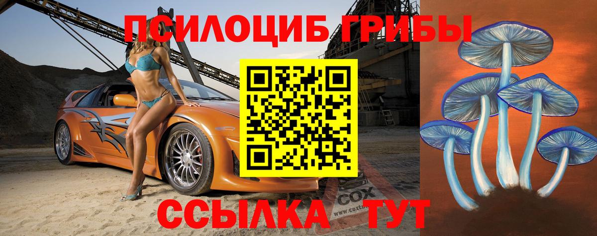 Галлюциногенные грибы Psilocybine cubensis  Вход с VPN  Кемерово 
